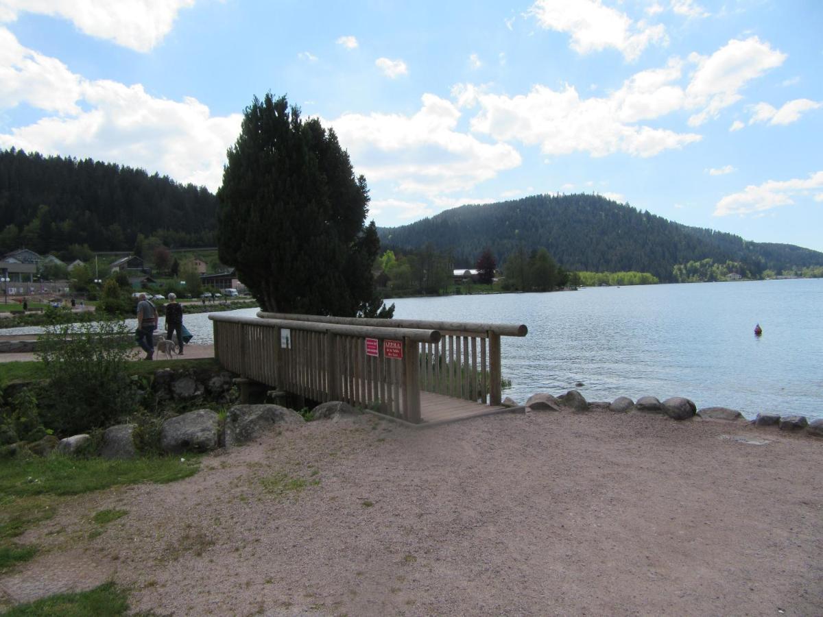 Appartement Les Balcons De La Chalande Le Tholy Gerardmer, Jardin,Balcon, Terrasse, Экстерьер фото