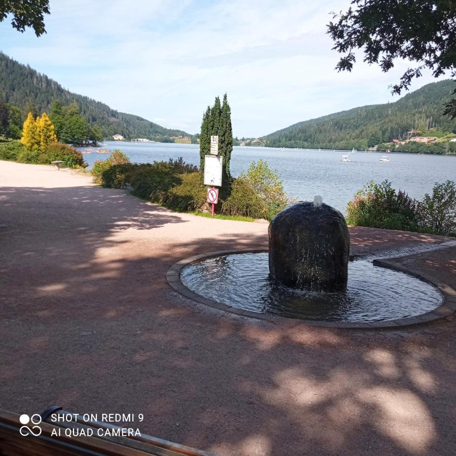 Appartement Les Balcons De La Chalande Le Tholy Gerardmer, Jardin,Balcon, Terrasse, Экстерьер фото